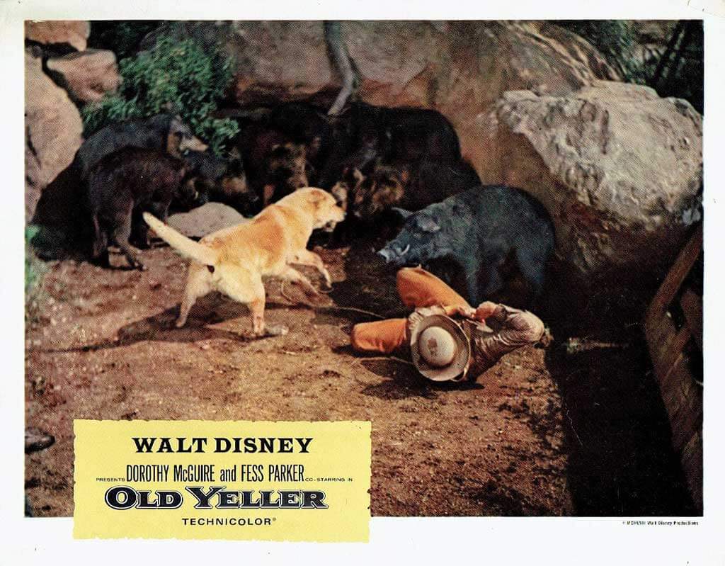 Film still from Old Yeller, 1957 Disney movie
