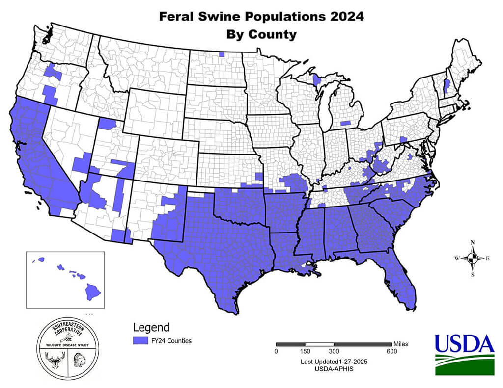 Feral swine populations 2024 by county