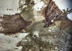 Leang Tedongnge cave painting of wild pigs