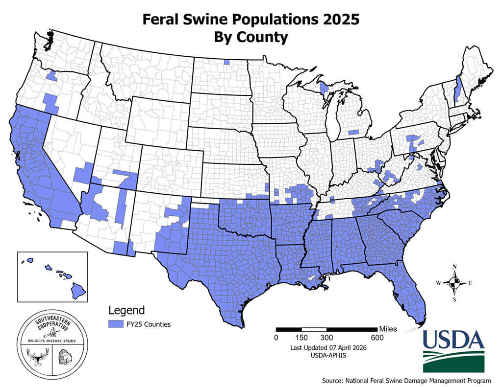 feral swine by county 2025